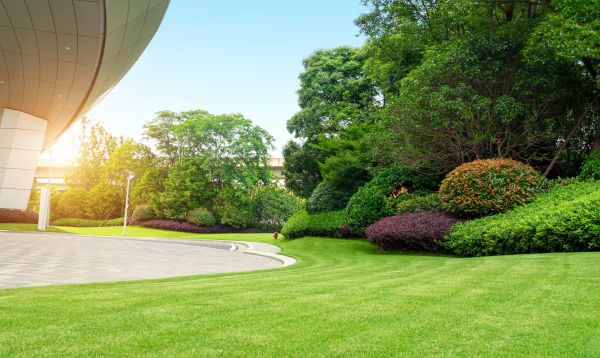 Commercial Lawn Care in Powell