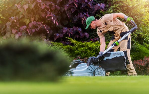 Lawn Care And Maintenance in Powell