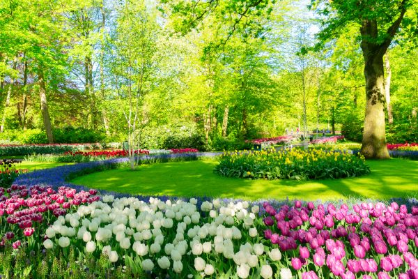 Spring Lawn Care in Powell