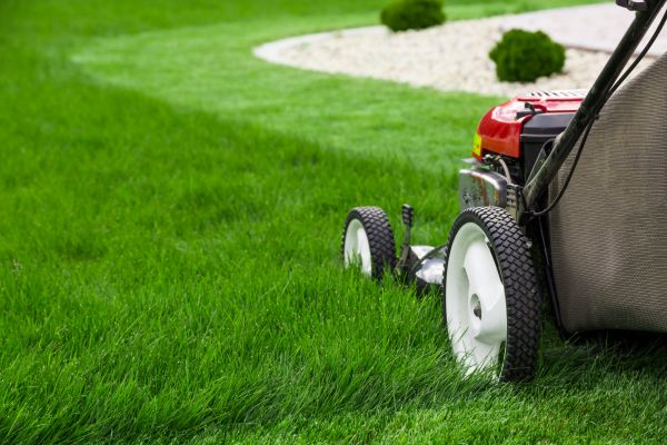 Yard Mowing in Powell
