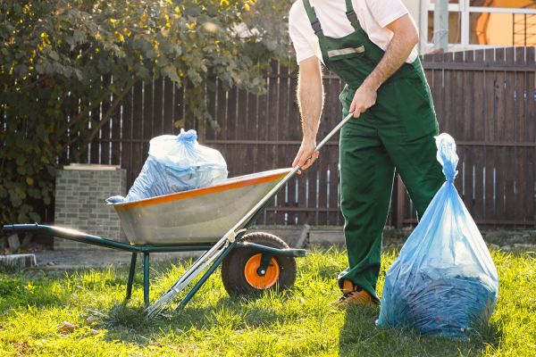 Yard Cleaning in Powell