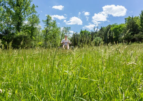 Long Grass Mowing in Powell