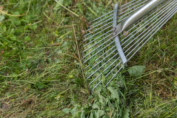 Thatch Raking in Powell