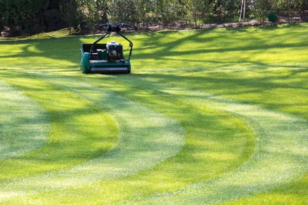 Business Lawn Mowing in Powell