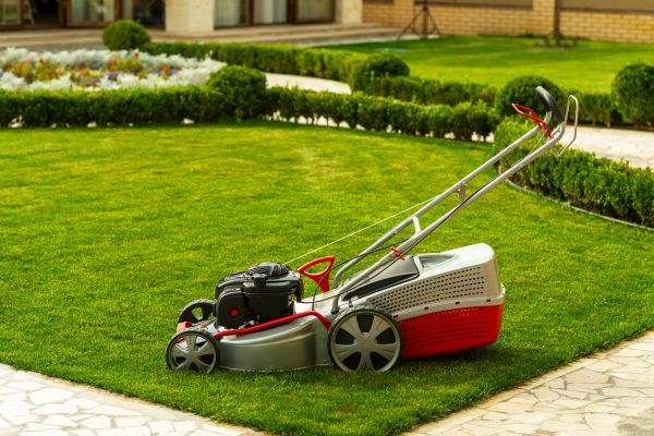 Business Grass Cutting in Powell