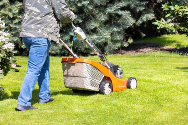 Springtime Lawn Care in Powell