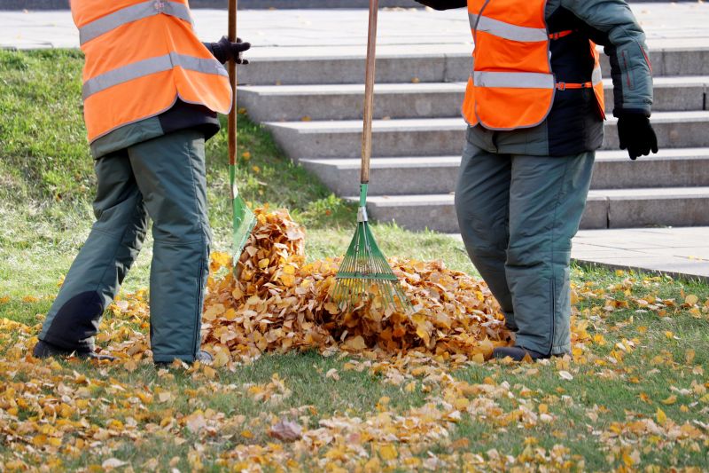 Fall Yard Cleanup Crew
