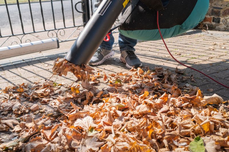 Leaf Blowing on Driveways